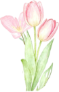 8e72faec7337785b9cb2e60760ab785b.png